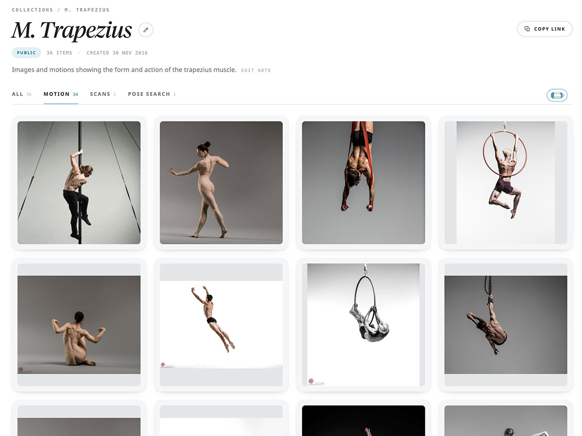 A public Collection titled M. Trapezius — a grid of motion and scan thumbnails showing the trapezius muscle